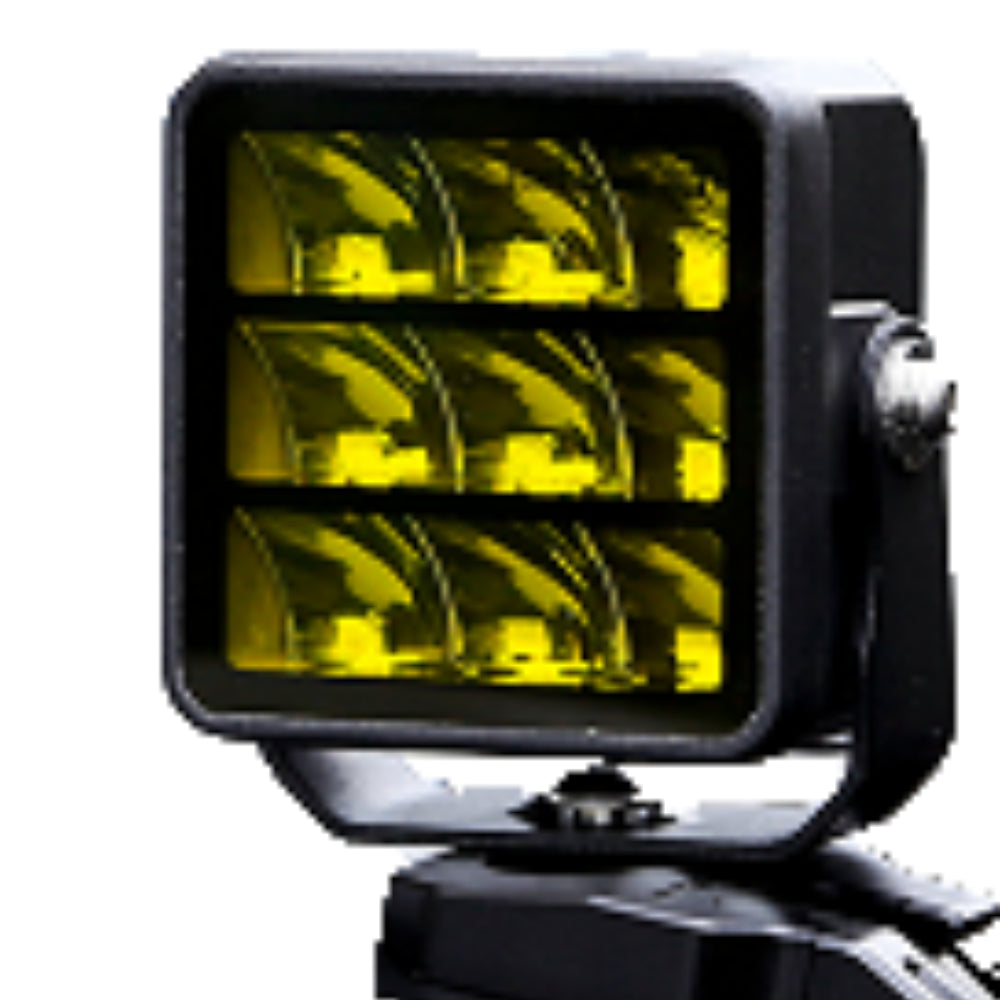 Landace GWM  Black And Gold Nine-Eyed Spotlights